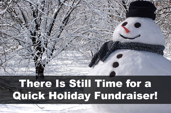 quick holiday fundraiser - snowman