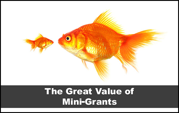 mini-grants - small and large goldfish