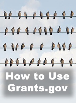 how to use grants.gov to get the best government for your nonprofit