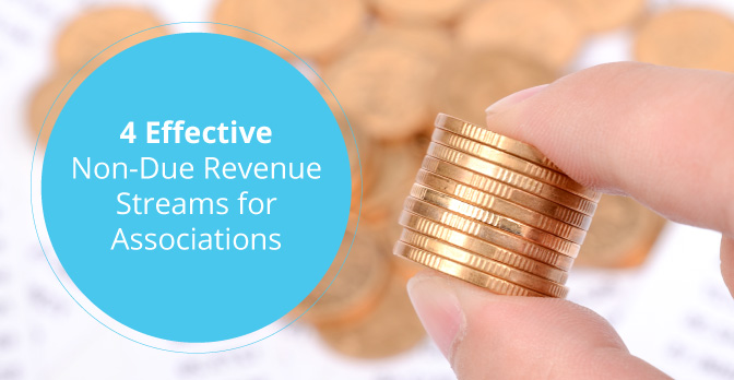 Learn ways to generate revenue for associations.