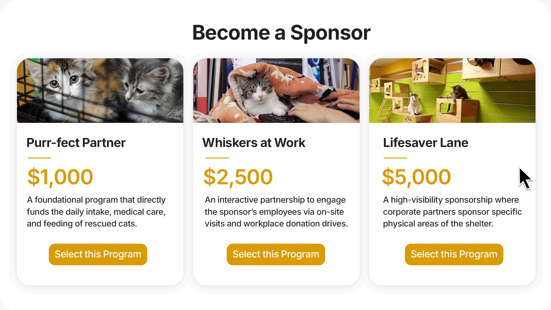 Double the Donation's sponsorships module plugin